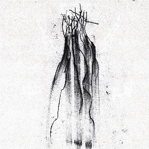 Pochette de Daath de Henrik Nordvargr Björkk