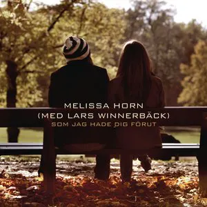 Pochette de Som jag hade dig förut de Lars Winnerbäck