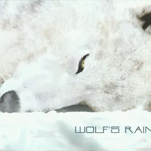 Pochette de WOLF’S RAIN de Yoko Kanno