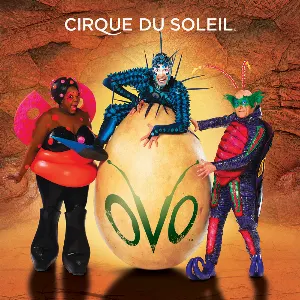 Pochette de Ovo de Cirque du Soleil