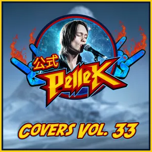 Pochette de Covers, Vol. 33 de PelleK