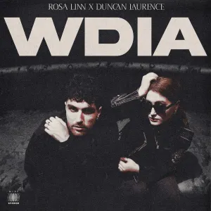 Pochette de WDIA (Would Do It Again) de Rosa Linn