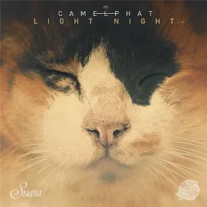 Pochette de Light Night EP de CamelPhat