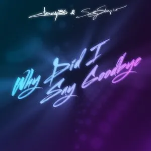 Pochette de Why Did I Say Goodbye de Sally Shapiro