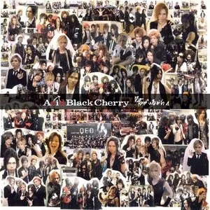 Pochette de 君がいるから de Acid Black Cherry