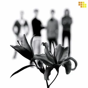 Pochette de Lily de MONKEY MAJIK