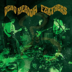 Pochette de Feathers de Dead Meadow