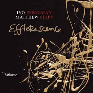 Pochette de Efflorescence de Ivo Perelman - Matthew Shipp