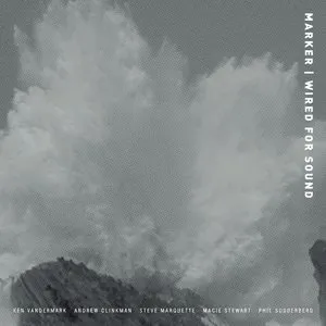 Pochette de Wired for Sound de Ken Vandermark