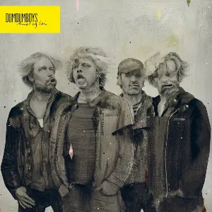 Pochette de Armer og bein de DumDum Boys
