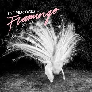Pochette de Flamingo de The Peacocks