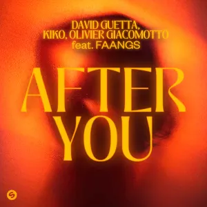 Pochette de After You de David Guetta