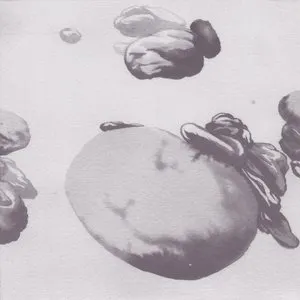 Pochette de Global Clone de Yellow Swans