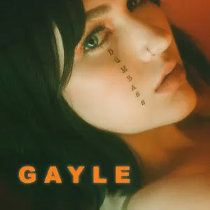 Pochette de dumbass de GAYLE