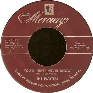 Pochette You’ll Never Never Know / It Isn’t Right