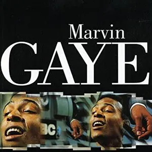 Pochette Marvin Gaye