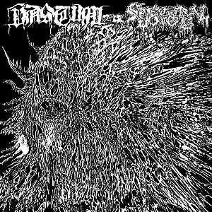 Pochette de Vastum / Spectral Voice de Spectral Voice