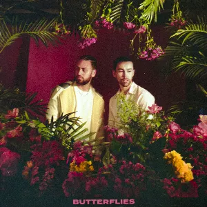 Pochette de BUTTERFLIES de MAX