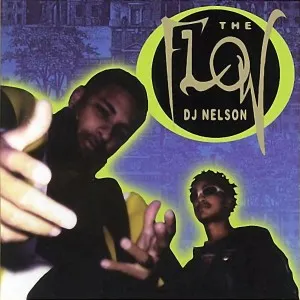 Pochette de The Flow de DJ Nelson