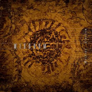 Pochette de Wisdoom de Mathias Grassow