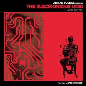 Pochette de The Electronique Void (Black Noise) de Adrian Younge