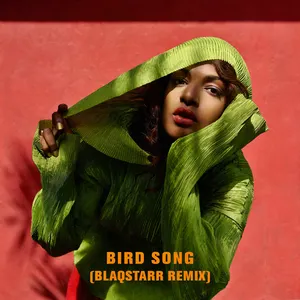 Pochette Bird Song (Blaqstarr remix)