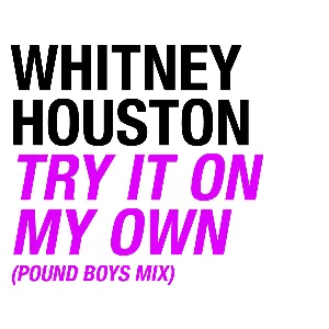 Pochette Try It On My Own (Pound Boys Mix)