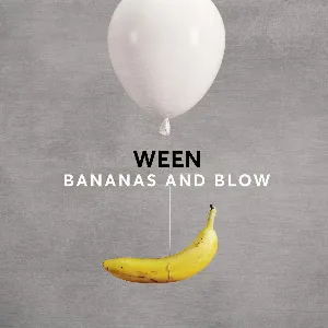 Pochette Bananas and Blow