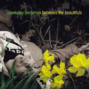 Pochette de Between the Beautifuls de Hawksley Workman