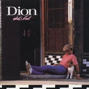 Pochette de Velvet & Steel de Dion