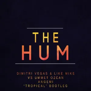Pochette The Hum (ANGEMI Tropical Bootleg)