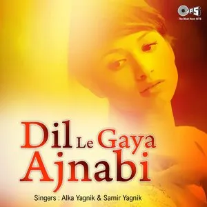 Pochette de Dil Le Gaya Ajnabi de Alka Yagnik