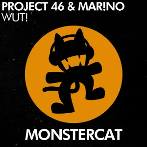 Pochette de Wut! de Project 46