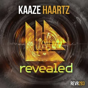 Pochette de Haartz de Kaaze