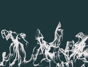 Pochette de Failed to Revive Mother Nature's Forward-Thinking Zombies de Wings of an Angel