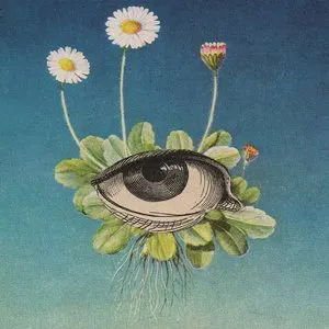 Pochette de The Limited Circle Is Pure de øjeRum