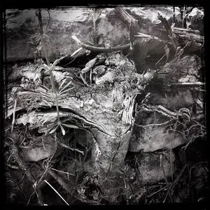 Pochette de Streams of Consciousness Compiled de Dirk Serries