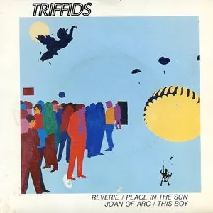 Pochette de Reverie de The Triffids