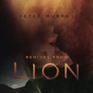 Pochette Remixes from Lion