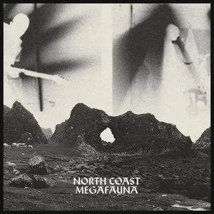 Pochette de North Coast Megafauna de And So I Watch You From Afar