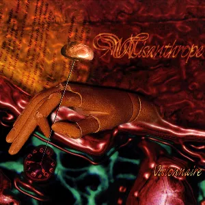 Pochette de Visionnaire de Misanthrope