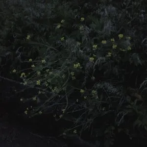 Pochette de Static Eulogy de Damien De Coene