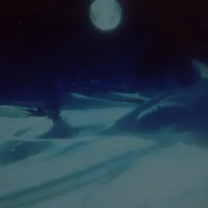 Pochette de Nocturnal Dementia de Kevin Drumm