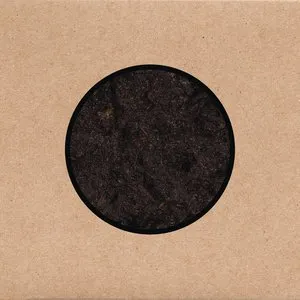 Pochette de Birthing de Swans