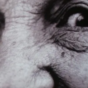 Pochette de Bubbemeises: Lies My Gramma Told Me de David Krakauer