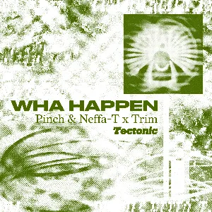 Pochette de Wha Happen de Pinch