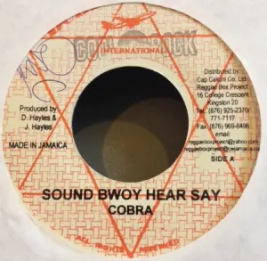 Pochette de Sound Bwoy Hear Say / I Am Wicked de Mad Cobra