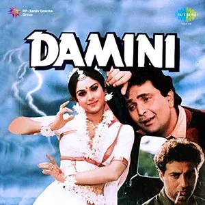 Pochette de Damini de Nadeem-Shravan
