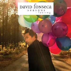 Pochette de Seasons - Rising : Falling de David Fonseca