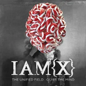 Pochette The Unified Field / Quiet the Mind